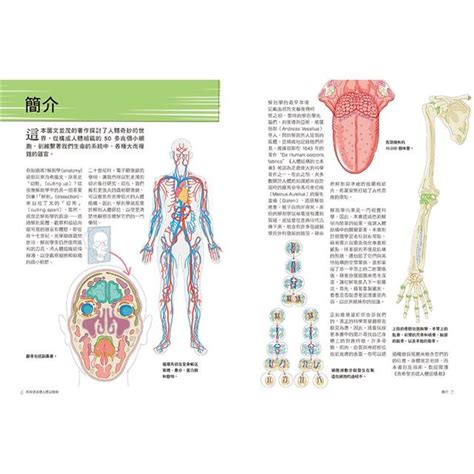 身體皮膚|《真希望基礎人體這樣教》：直覺式圖解，認識人體的抗疫第一線。